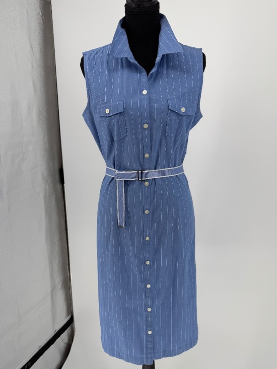 Ann Taylor Dresses & Skirts - Ann Taylor Blue White Pinstripe Sleeveless Button Front Shirt Dress 12